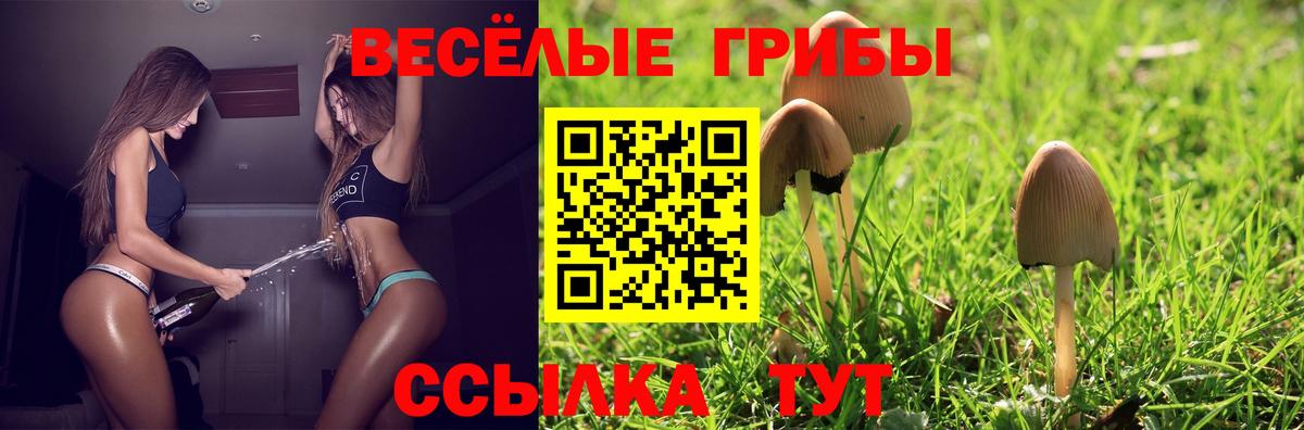 Псилоцибиновые грибы прущие грибы Богданович