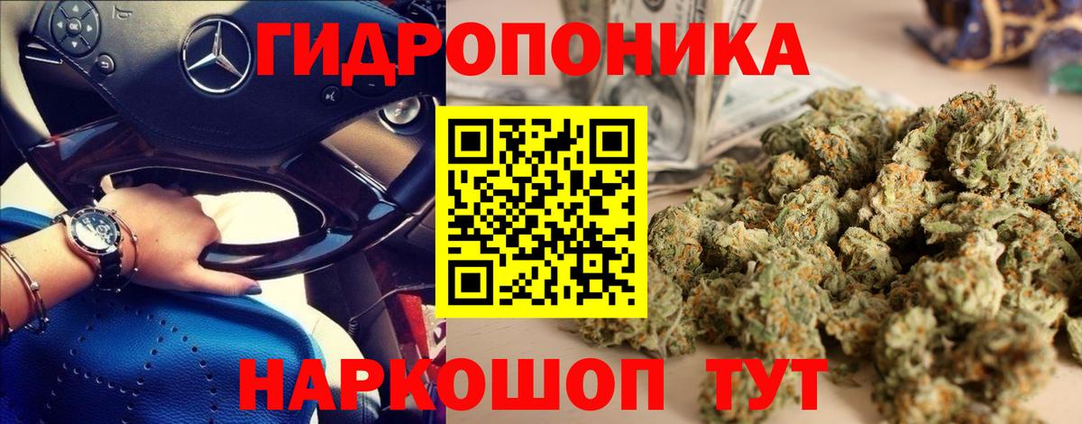 Бошки марихуана Bruce Banner  Богданович  МАРИХУАНА планчик  Марихуана Amnesia  Бошки Шишки план 